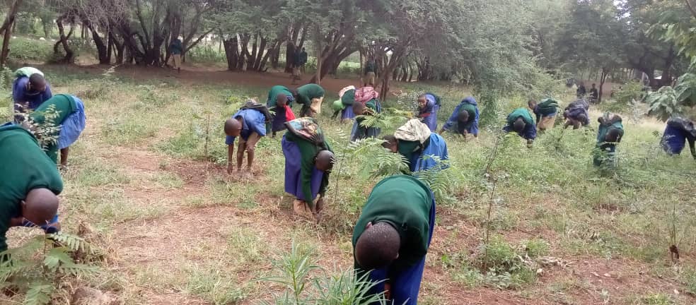 PWC Tree Planting Exercise at Mukuyuni Primary School (002).jpeg